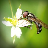 /album/o-sebe-i-obo-vsyom/photolia-a02-jpg/