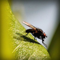 /album/o-sebe-i-obo-vsyom/photolia-a04-jpg/