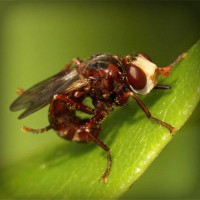 /album/o-sebe-i-obo-vsyom/photolia-a06-jpg/